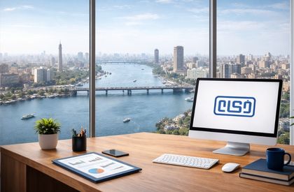 تحليل مالي ودراسة جدوى باستخدام مخططات بيانية ومؤشرات IRR وNPV